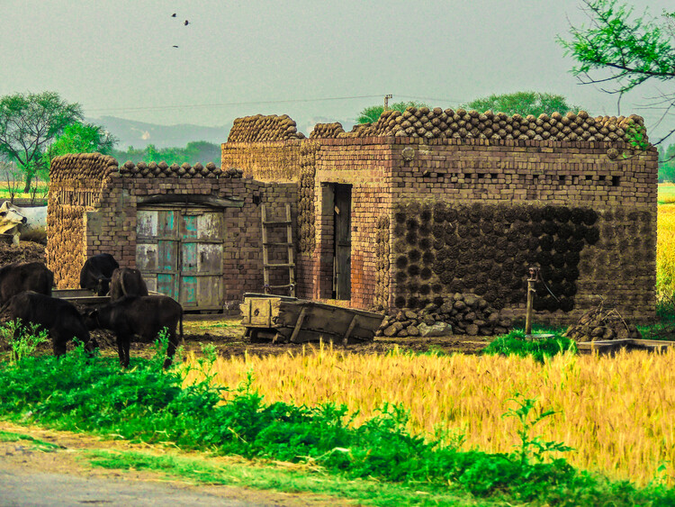 UN-Habitat Recognizes Five Approaches to Adequate Housing With 2026 Scroll of Honour - Image 6 of 6