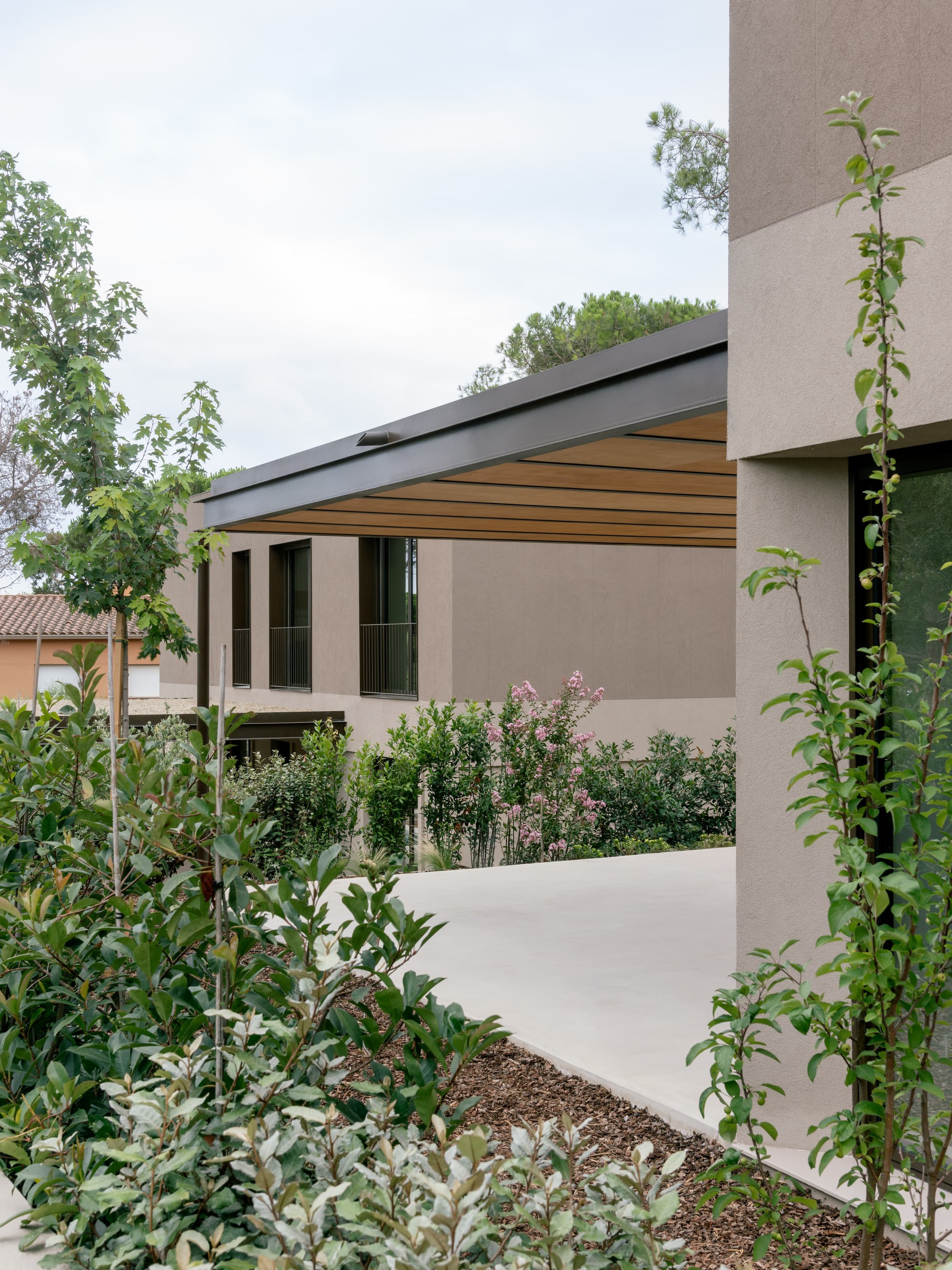 Pinewood Houses ensaya cómo compartir un pinar sin perder privacidad ni horizonte, vista 5