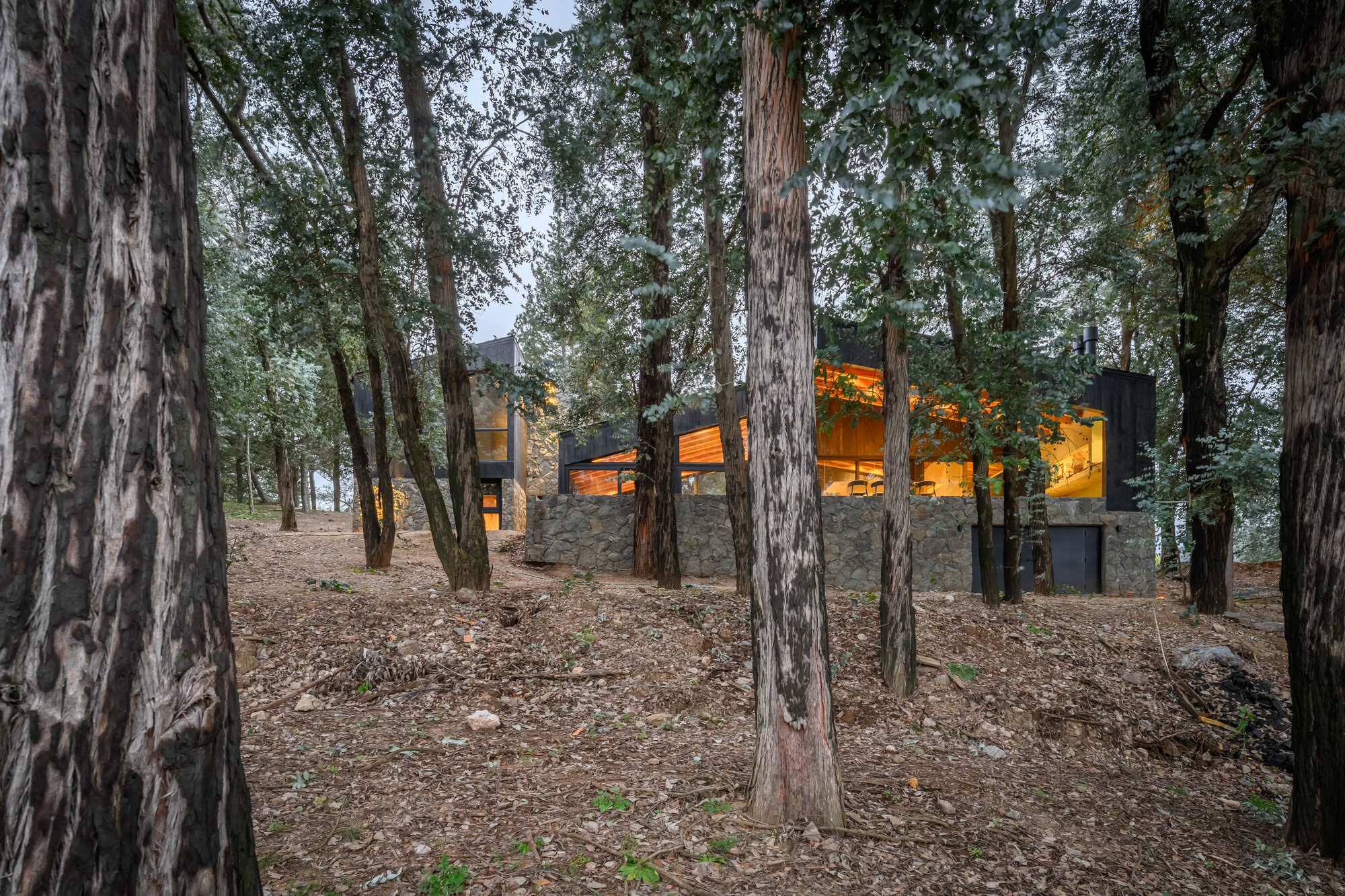 La Negrita House / Estudio Palacios