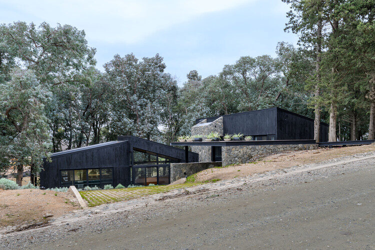 La Negrita House / Estudio Palacios - Image 9 of 29