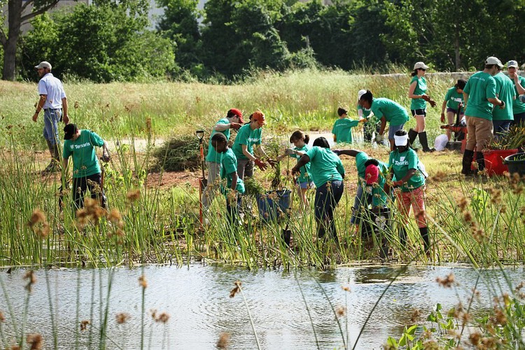 Architecture Between Land and Water: Design Lessons from the Bayou - Image 19 of 66