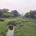 Planned Overflow: How Singapore Balances Floods, Canals, and Public Space - Image 2 of 4