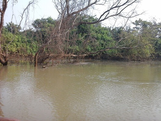 The Mangrove as a Wall: Coastal Protection and Urban Development in India The Mangrove as a Wall: Coastal Protection and Urban Development in India - Image 9 of 11