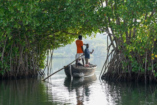 The Mangrove as a Wall: Coastal Protection and Urban Development in India The Mangrove as a Wall: Coastal Protection and Urban Development in India - Image 6 of 11
