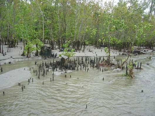 The Mangrove as a Wall: Coastal Protection and Urban Development in India The Mangrove as a Wall: Coastal Protection and Urban Development in India - Image 5 of 11
