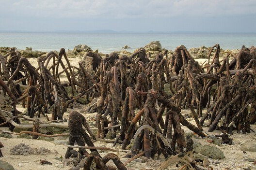 The Mangrove as a Wall: Coastal Protection and Urban Development in India The Mangrove as a Wall: Coastal Protection and Urban Development in India - Image 3 of 11