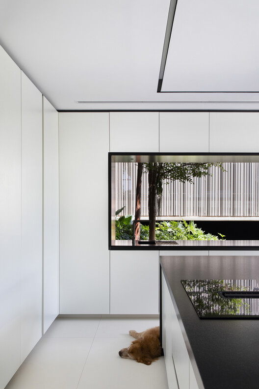 Ella House / Studio Memo Ella House / Studio Memo - Interior Photography, Kitchen, Glass
