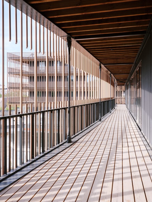 Campus du Parc / IT'S Studio Campus du Parc / IT'S Studio - Image 16 of 66