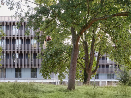 Campus du Parc / IT'S Studio Campus du Parc / IT'S Studio - Exterior Photography