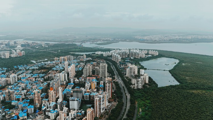 The Mangrove as a Wall: Coastal Protection and Urban Development in India - Featured Image