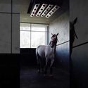 Montana Farm / Estudio Balzano - Interior Photography, Recreation & Training