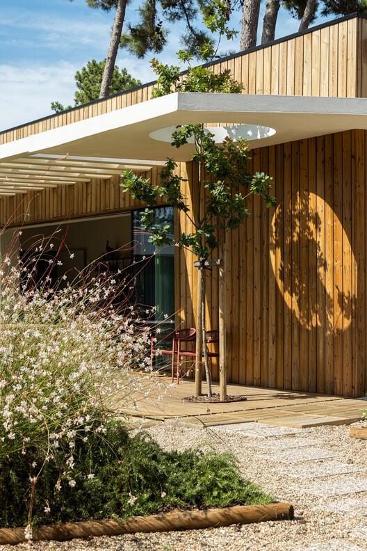 Colares Sintra House / Sabrab Colares Sintra House / Sabrab - Image 14 of 53