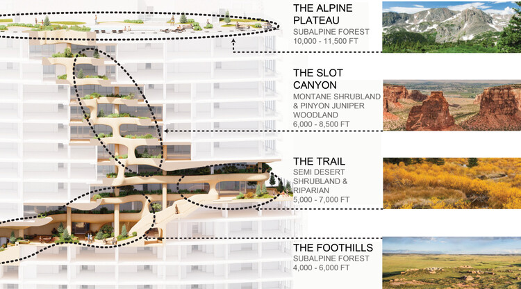 La forma sigue a la formación: cómo la arquitectura trabaja con las formas geológicas - Imagen 7 de 28
