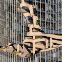 La forma sigue a la formación: cómo la arquitectura trabaja con las formas geológicas - Image 2 of 4