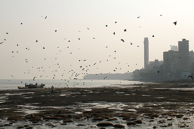 From Coastal Reclamation to Data Centers: How India's Architecture Grows Around Water - Image 2 of 6