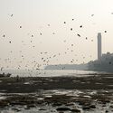 From Coastal Reclamation to Data Centers: How India's Architecture Grows Around Water - Image 1 of 4