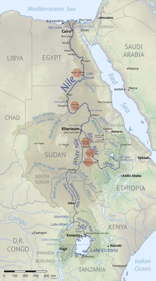 Dammed Between Energy and Water Scarcity: The Grand Ethiopian Renaissance Dam and the Nile - Image 13 of 15