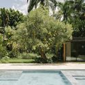 Yakisugi House / Estudio Mazara - Houses